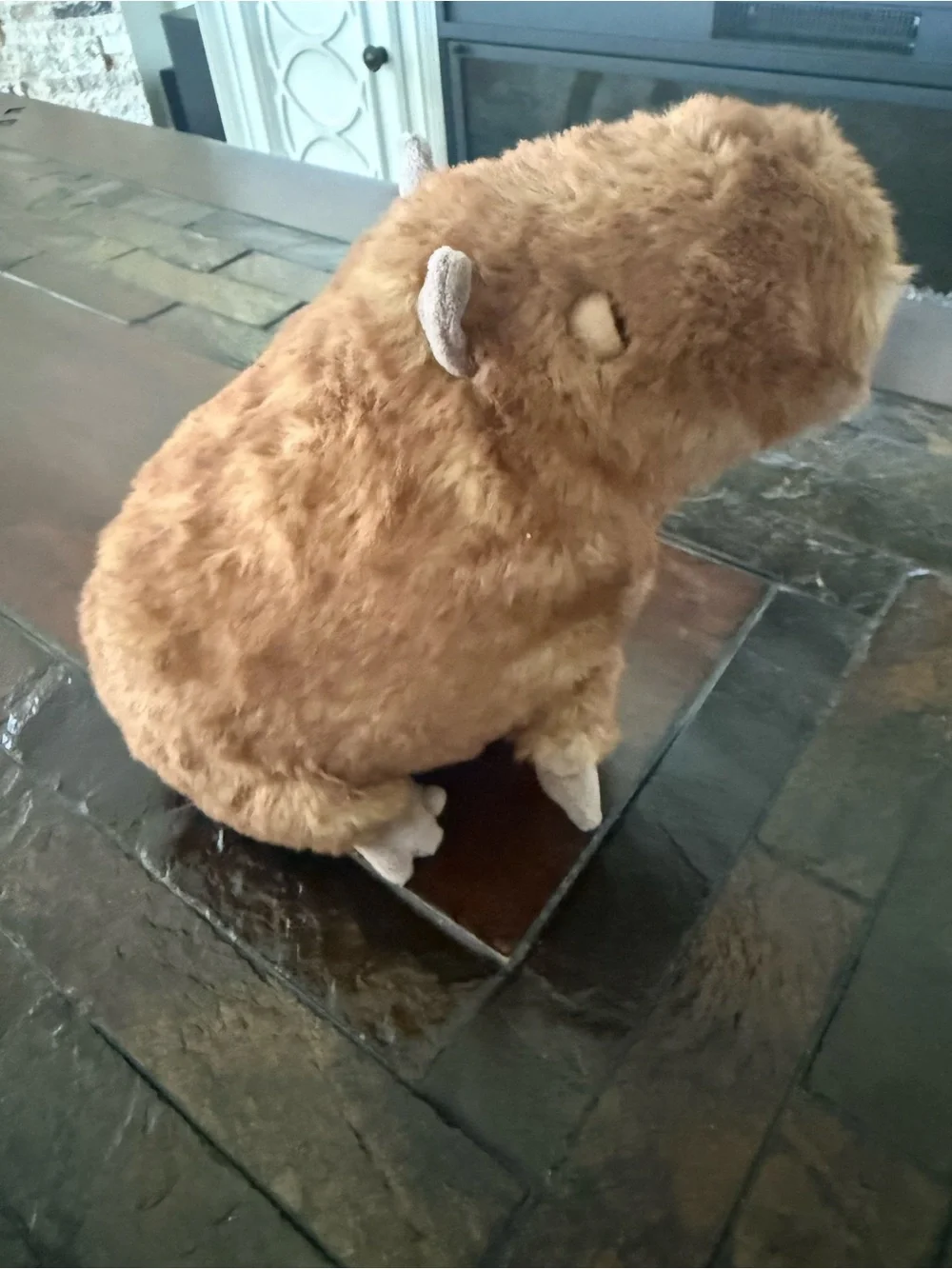 Jellycat Tan and Dark Brown Capybara Plush - Picture 4 of 11